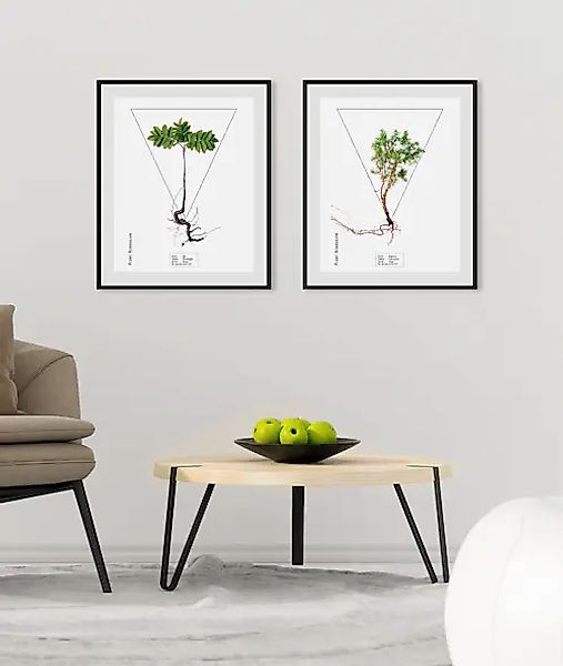 queence Bild »Fem«, Pflanzen-Pflanzenbilder-Schriftzug, (1 St.), HD Premium günstig online kaufen