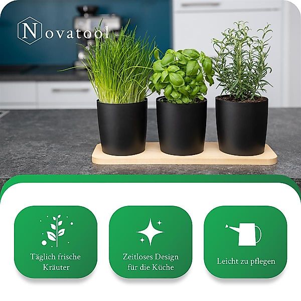 Novaliv Kräutertopf - (3 St), 3x günstig online kaufen