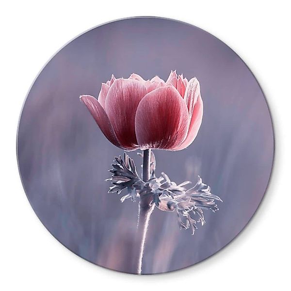 K&L Wall Art Glasbild Glas Wandbild günstig online kaufen