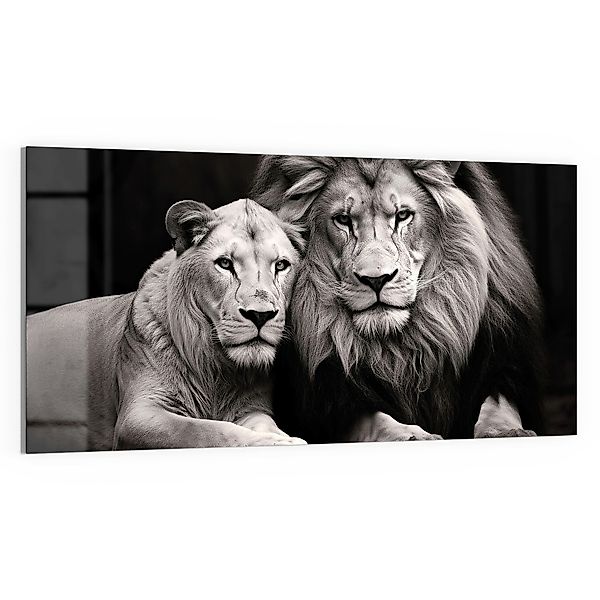 DEQORI Glasbild 'Stolzes Löwenpaar', 'Stolzes Löwenpaar', günstig online kaufen