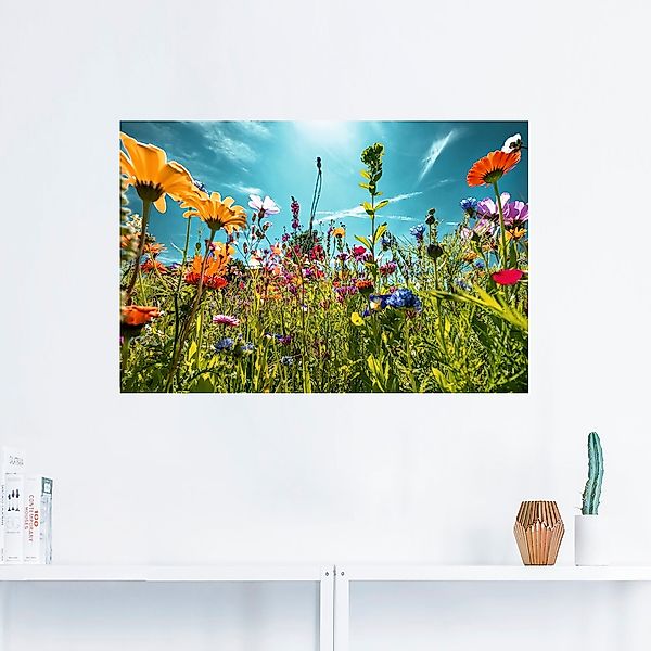 Artland Wandbild "Buntes Blumenfeld", Blumenwiese, (1 St.), als Alubild, Ou günstig online kaufen