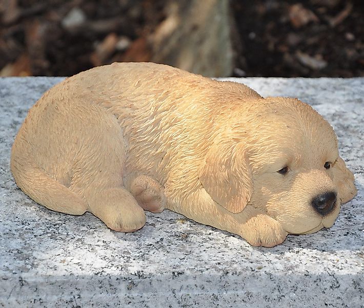dazikemo Gartenfigur Dekofigur Gartenfigur Golden Retriever günstig online kaufen