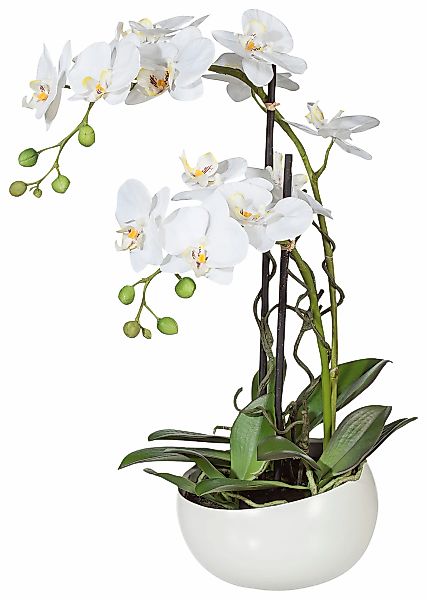 Creativ green Kunstpflanze "Orchidee" günstig online kaufen