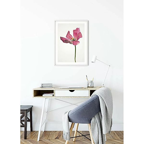 KOMAR Wandbild - Tulip  - Größe: 50 x 70 cm mehrfarbig Gr. one size günstig online kaufen
