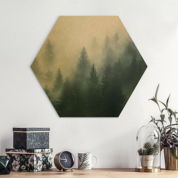 Hexagon-Alu-Dibond Bild Natur & Landschaft Nadelwald im Nebel günstig online kaufen