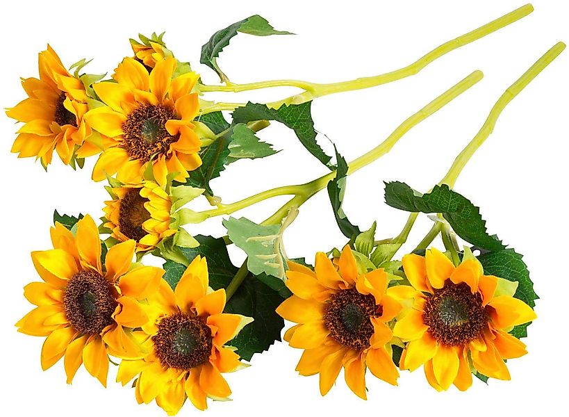 Kunstblume Sonnenblume Sonnenblume, Botanic-Haus, Höhe 38 cm günstig online kaufen