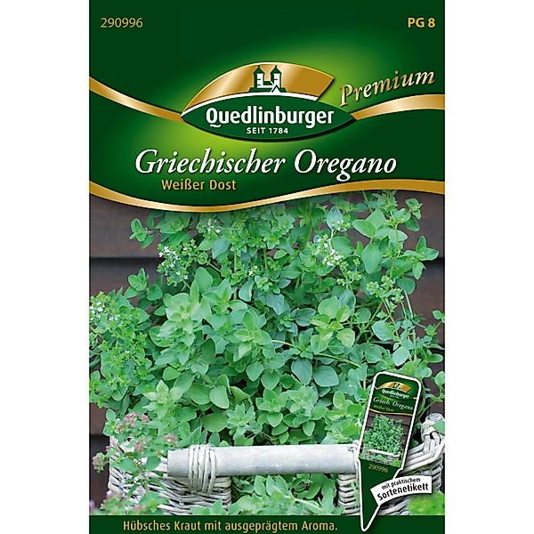 Quedlinburger Griechisches Oregano Weißer Dost Loses Saatgut günstig online kaufen