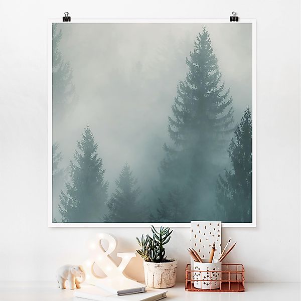 Poster - Quadrat Nadelwald im Nebel günstig online kaufen