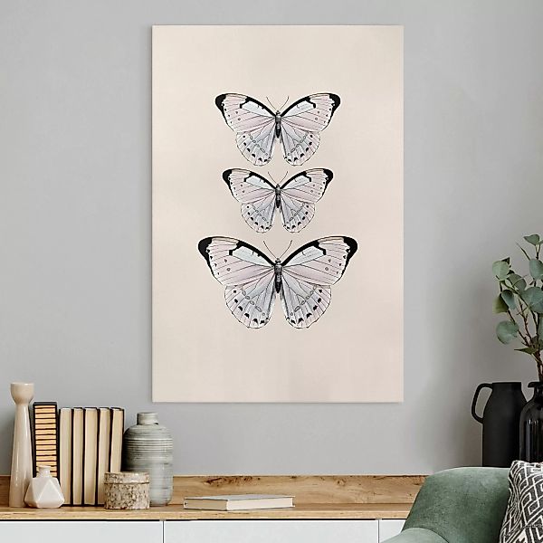 Leinwandbild Schmetterling auf Beige günstig online kaufen