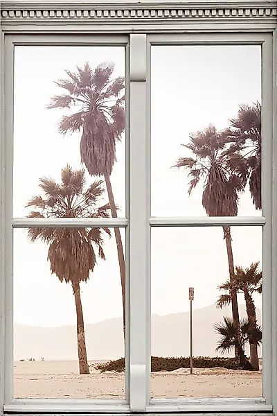 queence Wandsticker »Palmen« Wandsticker, Wandbild, selbstklebend, 3D, Fens günstig online kaufen