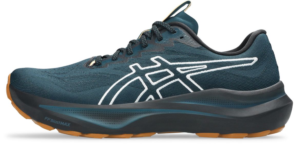 Asics GT-2000 14 TR Laufschuh für günstig online kaufen