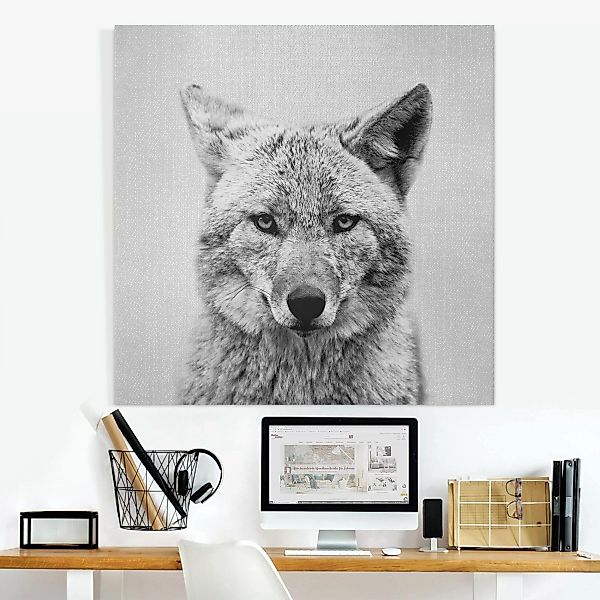 Leinwandbild Kojote Kalle Schwarz Weiß günstig online kaufen