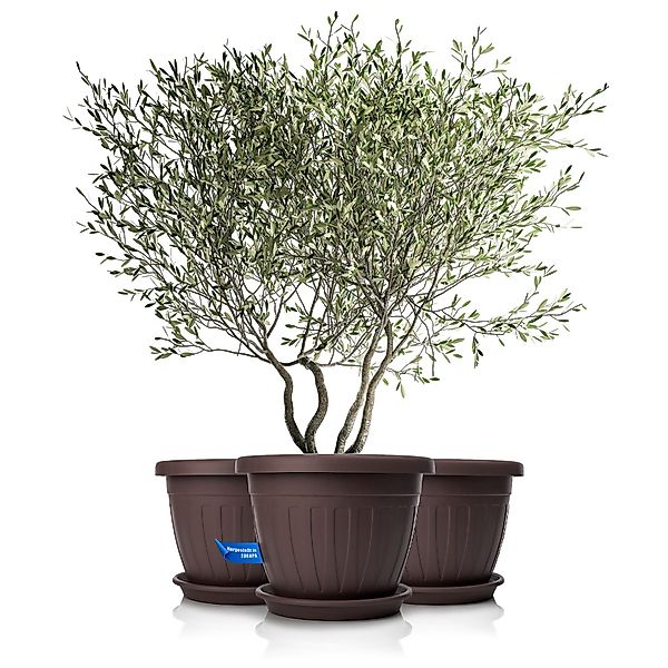 BigDean Blumentopf 3x Pflanzkübel mit Untersetzer günstig online kaufen