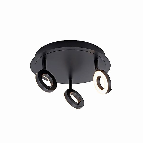 Paul Neuhaus Deckenleuchte "SILEDA", 3 flammig, Leuchtmittel LED-Board  LED günstig online kaufen
