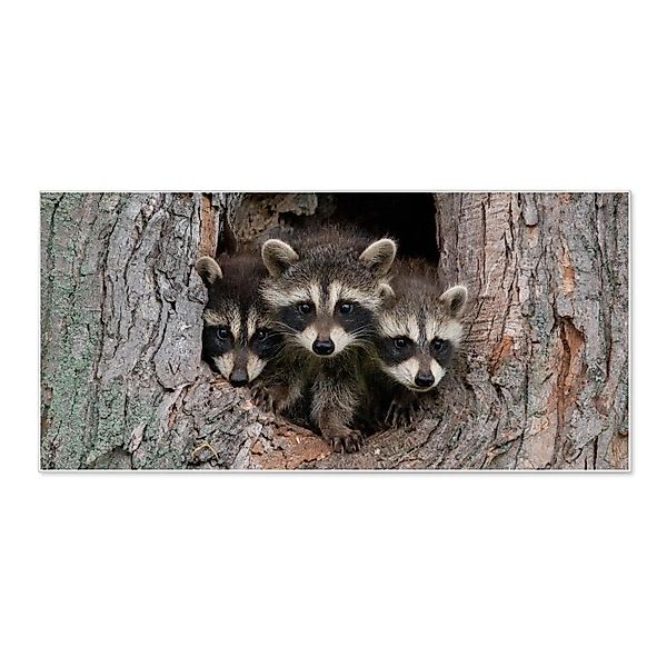 Banjado Magnettafel 78x37cm Magnetwand  Weiß Aus Metall Magnetpinnwand Pinn günstig online kaufen