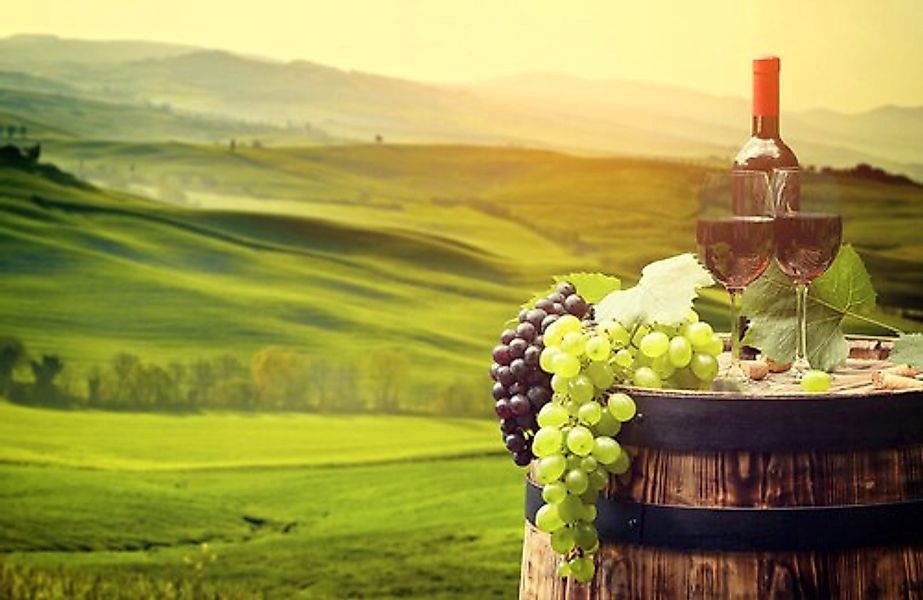 Papermoon Fototapete »WEINBAU-WEIN TRAUBEN FELD WIESE WEIN SONNE LANDSCHAFT günstig online kaufen