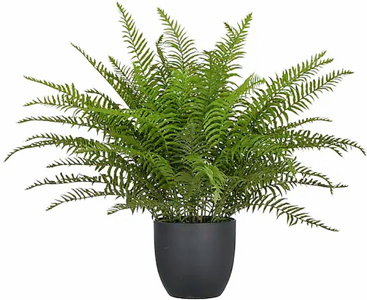 Creativ green Kunstpflanze »Schwertfarn« mit zahlreichen Farnwedeln günstig online kaufen