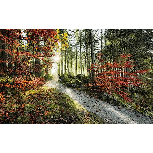 Vlies Fototapete Feuerzungen 450x280 cm günstig online kaufen