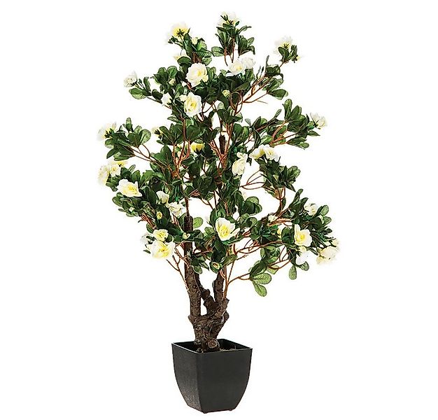 Kunstpflanze Zimmerpflanze, Atmosphera Créateur d'intérieur, Höhe 81 cm günstig online kaufen