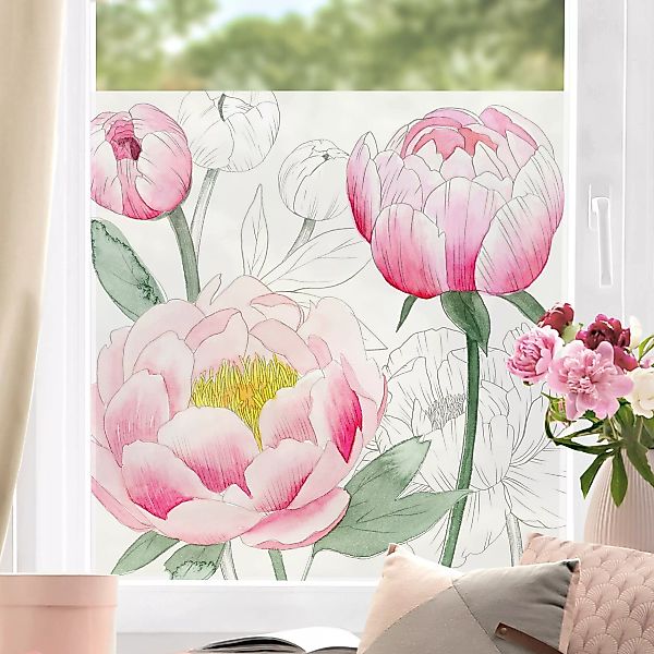 Fensterfolie Zeichnung Rosa Päonien II günstig online kaufen