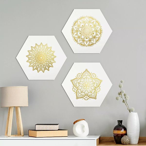 3-teiliges Hexagon-Alu-Dibond Bild Mandala Blüte Sonne Illustration Set Gol günstig online kaufen