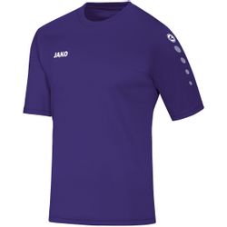 Jako Fußballtrikot 4233 Trikot Team KA günstig online kaufen
