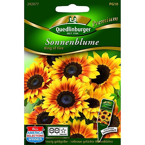 Quedlinburger Sonnenblume ''Ring of fire'' günstig online kaufen