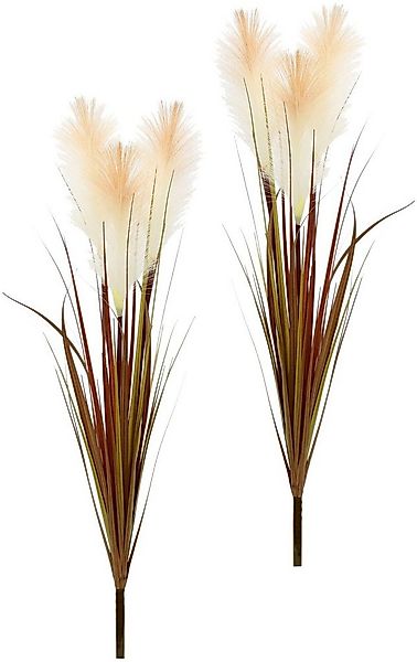 Kunstblume Pampasgras, I.GE.A., Höhe 75 cm, 2er Set günstig online kaufen