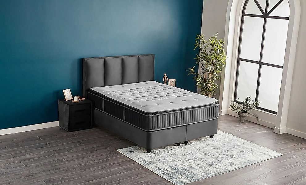 abc bedding Boxspringbett Komfortbett NORA mit Samt Velours Stoff in Anthra günstig online kaufen