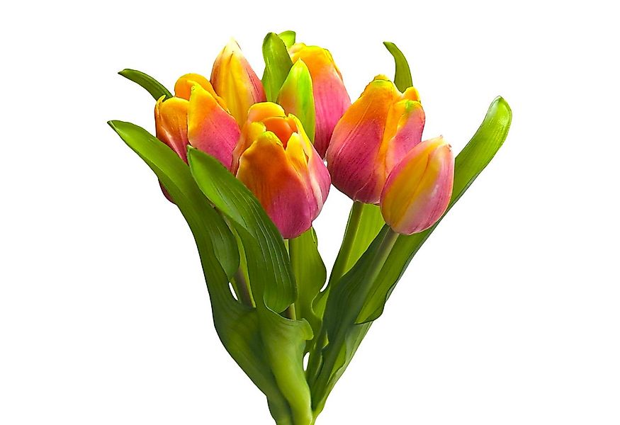 Kunsttulpe Künstlicher Tulpen-Bund 32cm "Soft-Touch" Kunstblume Tulpe, Flor günstig online kaufen