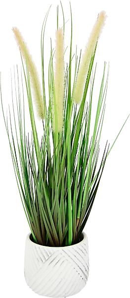 Kunstpflanze Fuchsschwanzgras, I.GE.A., Höhe 54 cm, günstig online kaufen