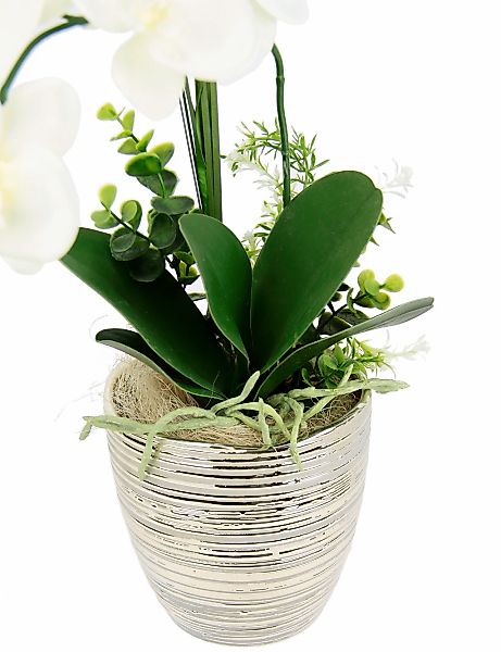 I.GE.A. Kunstblume "Arrangement Orchidee/Gras", Topf aus Keramik günstig online kaufen