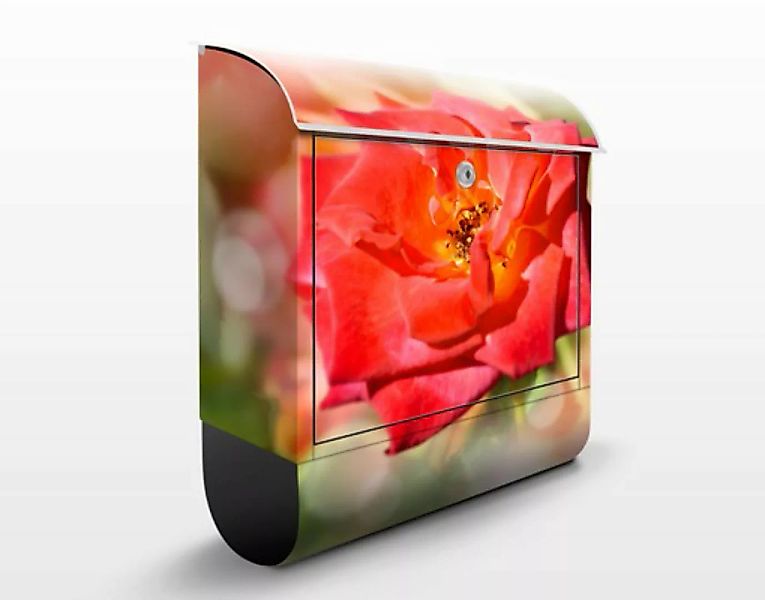 Briefkasten No.YK19 Shining Rose günstig online kaufen