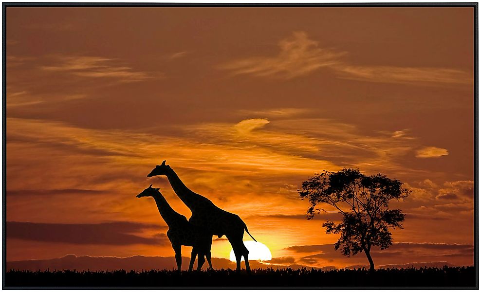 Papermoon Infrarotheizung »Giraffen vor Sonnenuntergang«, sehr angenehme St günstig online kaufen