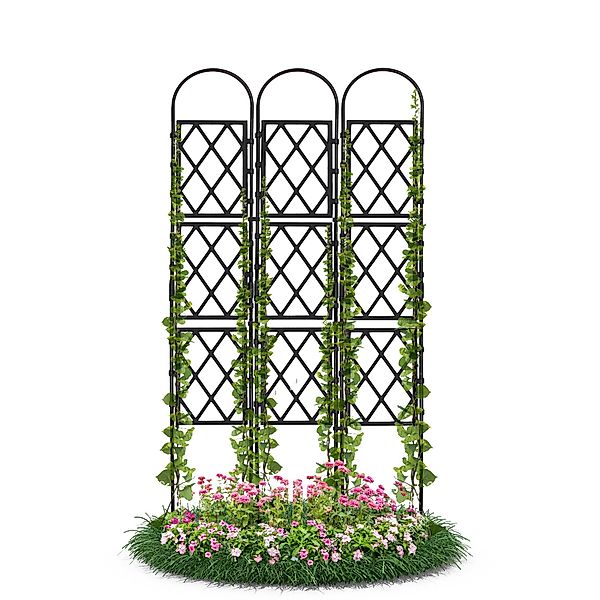 Gartenwelt Riegelsberger Rankhilfe Wandspalier mit Bogen günstig online kaufen