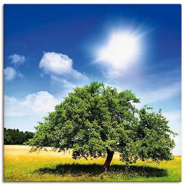 Artland Wandbild »Baum des Lebens« Bäume 1 Stk. tlg. auf Holzrahmen gespann günstig online kaufen