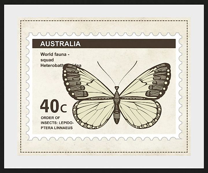 queence Bild »40c«, Schmetterlinge, (1 St.) günstig online kaufen
