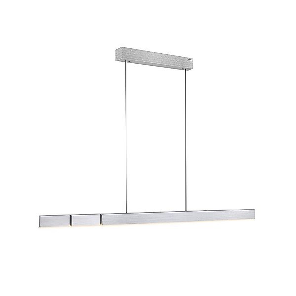Paul Neuhaus LED Pendelleuchte LED Pendellampe günstig online kaufen