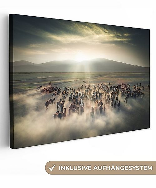 OneMillionCanvasses® Leinwandbild Pferde - Natur - Nebel - Wildtiere, Fotod günstig online kaufen