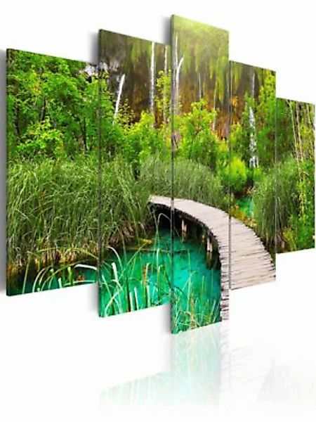 artgeist Wandbild Emerald Trail mehrfarbig Gr. 200 x 100 günstig online kaufen