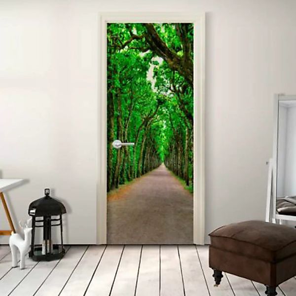artgeist Türtapete Mysterious Alley braun/grün Gr. 80 x 210 günstig online kaufen