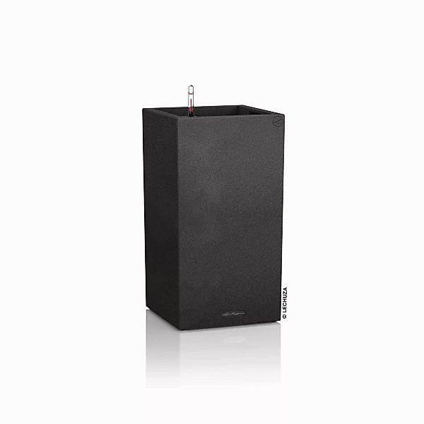 Lechuza® Blumentopf Canto Stone High 30 günstig online kaufen