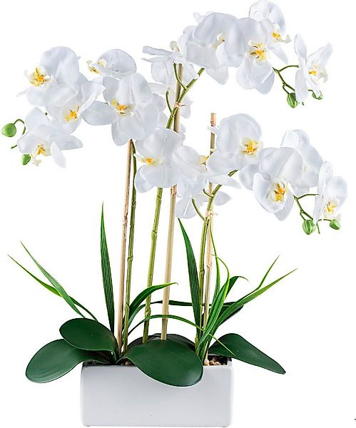 Kunstorchidee Orchidee Phalaenopsis, Creativ green, Höhe 58 cm, mit Graszwe günstig online kaufen