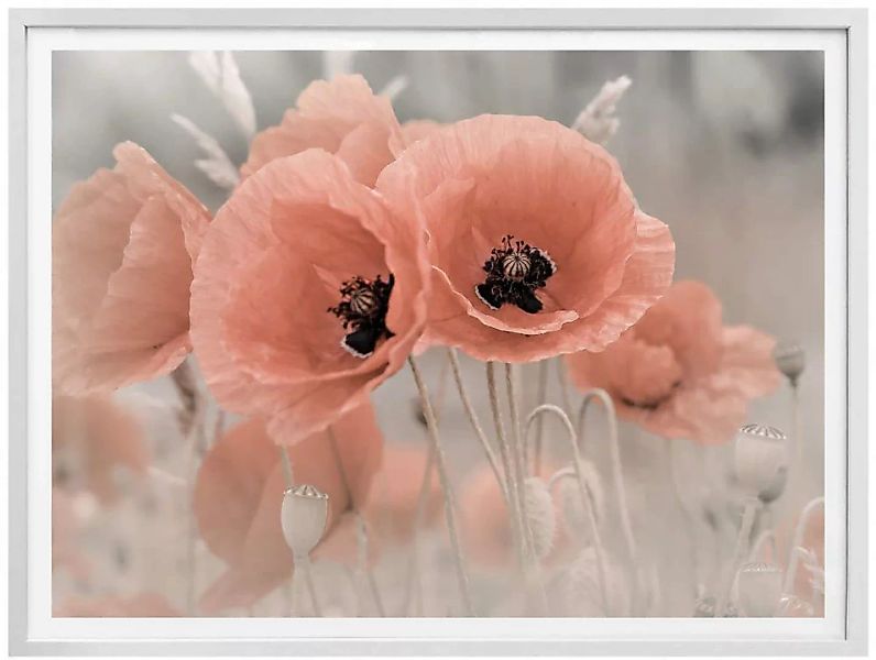 Wall-Art Poster "Mohnblumen Pastell", Blumen, (1 St.) günstig online kaufen