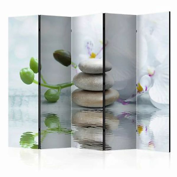 artgeist Paravent Water Reflection II [Room Dividers] grau-kombi Gr. 225 x günstig online kaufen