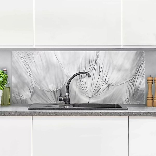 Glas Spritzschutz - Panorama Pusteblumen Makroaufnahme in schwarz weiß günstig online kaufen