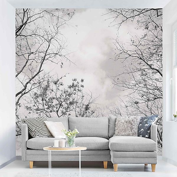 Bilderdepot24 Fototapete Wald Baumkronen Himmel Warmgrau günstig online kaufen