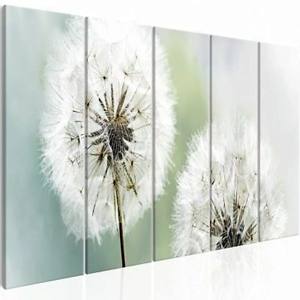artgeist Wandbild Windless Morning (5 Parts) Narrow mehrfarbig Gr. 200 x 80 günstig online kaufen