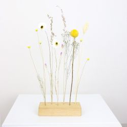 Trockenblume Flowerbar Sommerwiese, Trockenblumen & edle günstig online kaufen