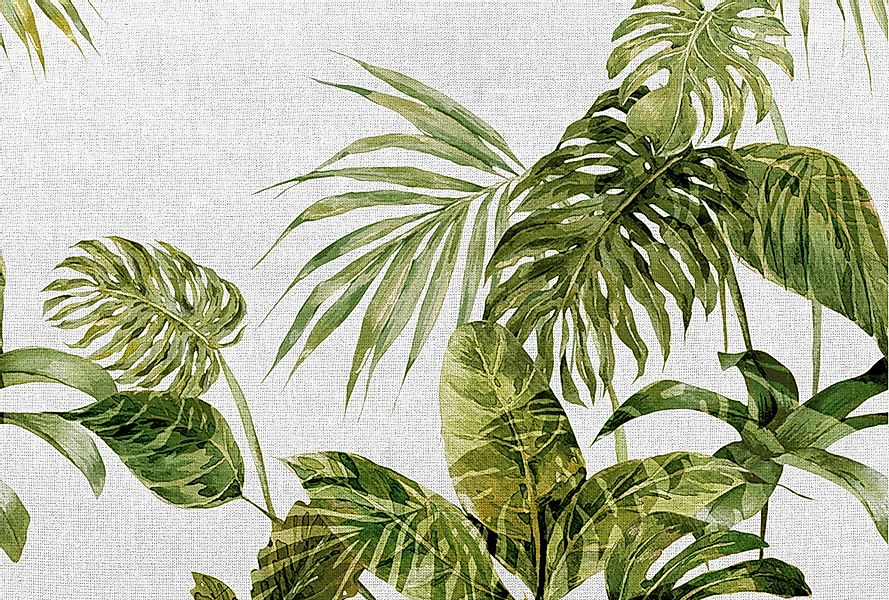 Architects Paper Fototapete »Atelier 47 Tropical Leaves Artwork 1« botanisc günstig online kaufen